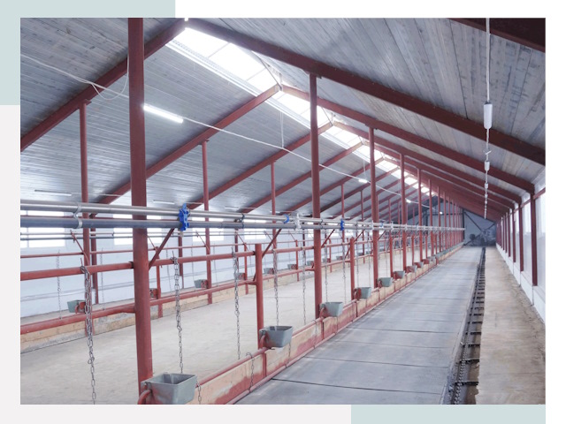 Строительство коровников в Шумерле от 652 руб.