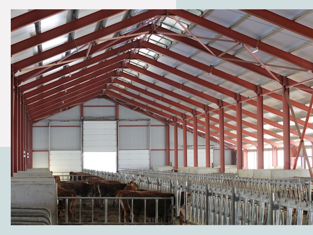 Строительство коровников в Шумерле