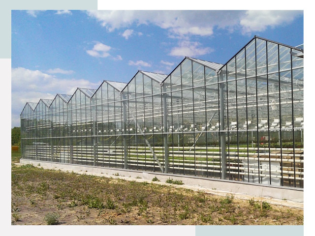 Строительство теплиц в Шумерля от 652 руб. за м²