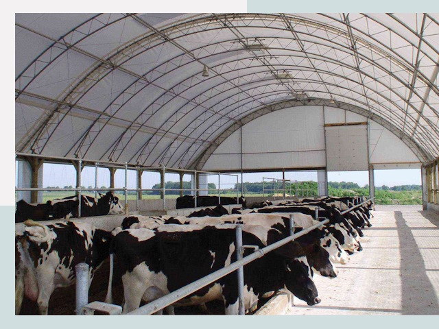 Тентовые коровники в Шумерле